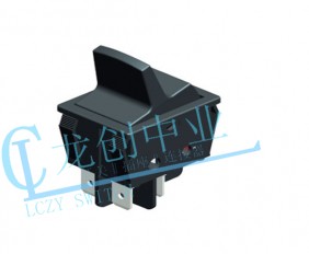 Rocker switch